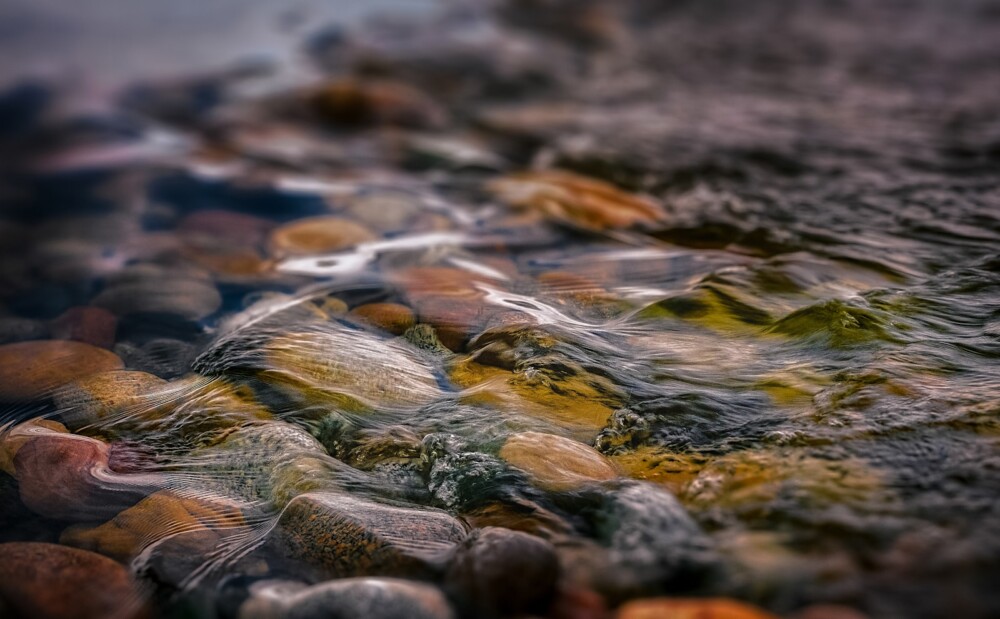 macro photography of water and stones