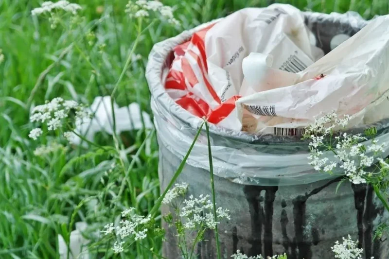 Umwelttage 2026 im Kreis Birkenfeld: Abfallwirtschaft ruft zur Teilnahme auf