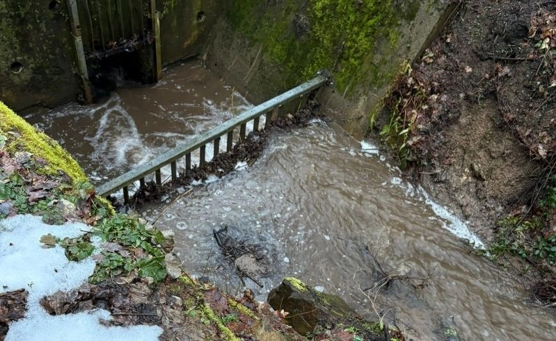 Fünf Einsätze an einem Tag für Feuerwehr der VG Rüdesheim