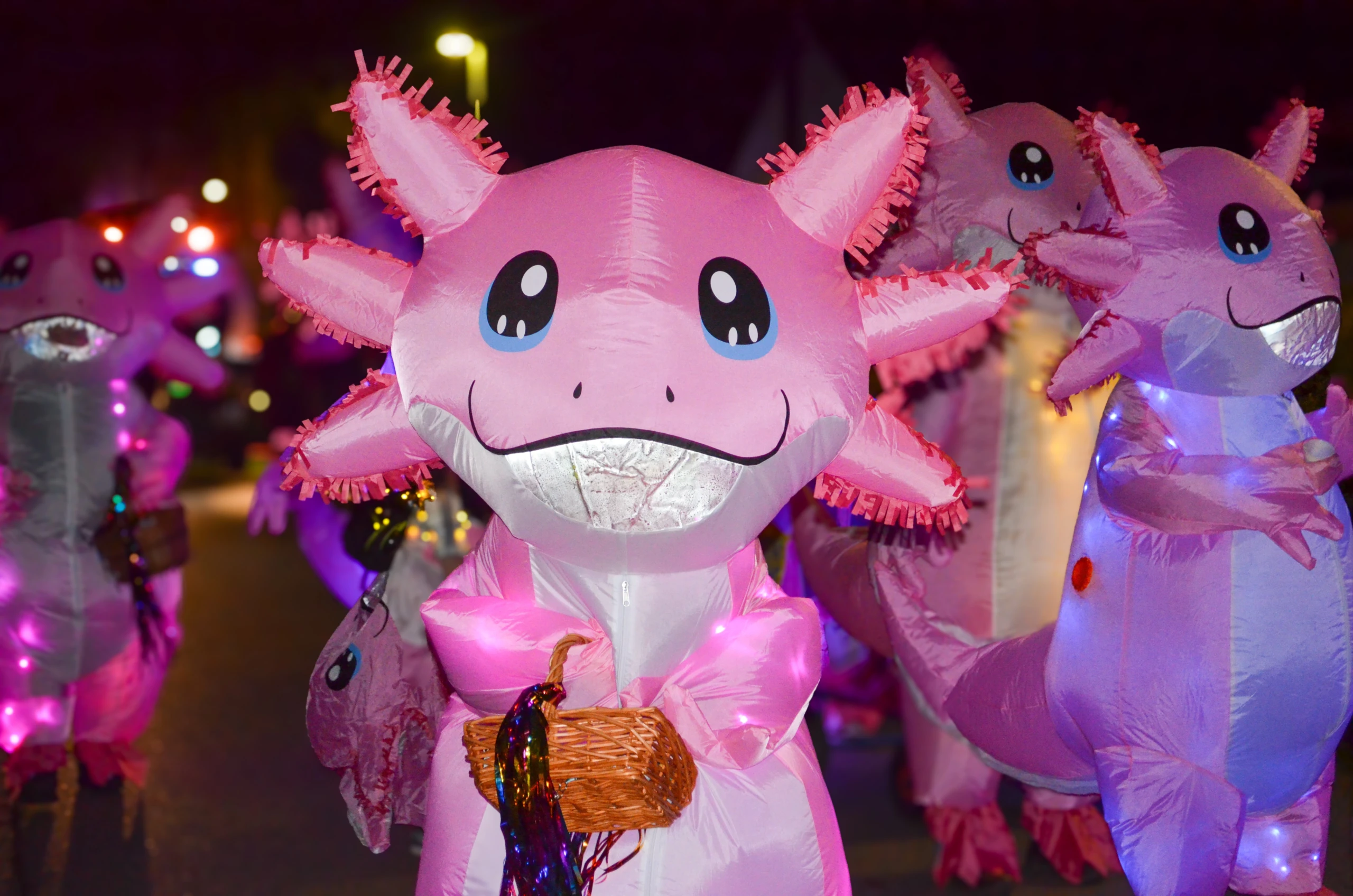 Grolsheim feiert: Nachtumzug begeistert Tausende