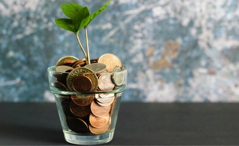 LEADER-Region Rheinhessen startet drei neue Förderaufrufe für 2026