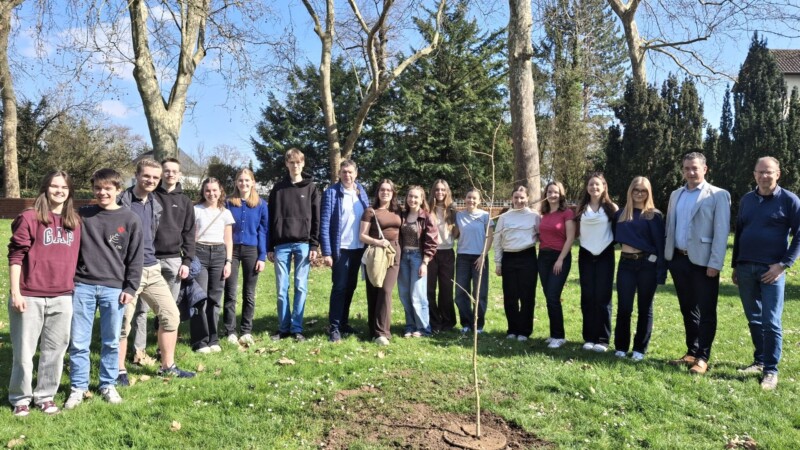 Abiturjahrgang pflanzt Ginkgo-Baum auf der Roseninsel