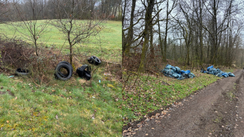 Illegale Müllentsorgung bei Eckersweiler – Polizei ermittelt