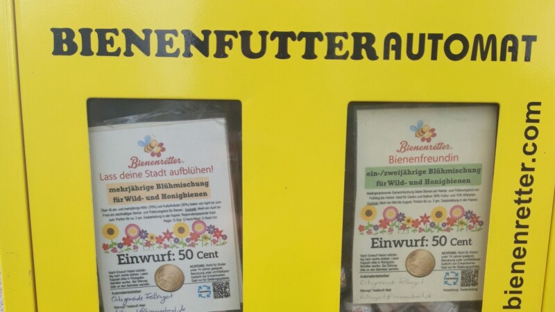 Bienenautomat Feilbingert