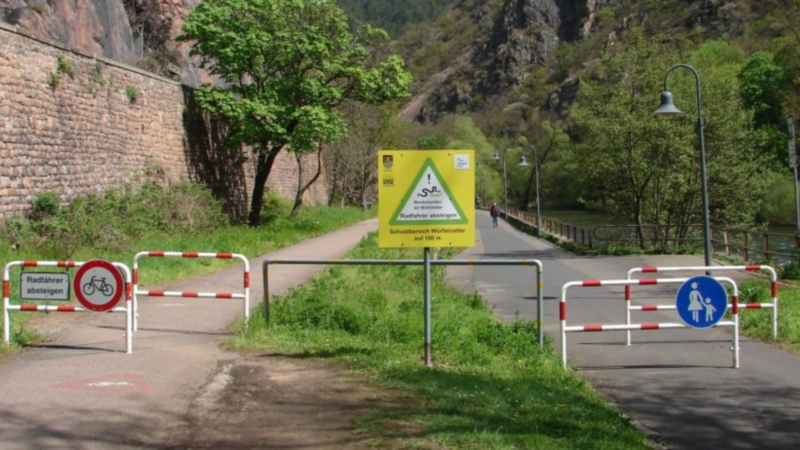 Die Wanderung der Würfelnattern am Felseneck hat begonnen