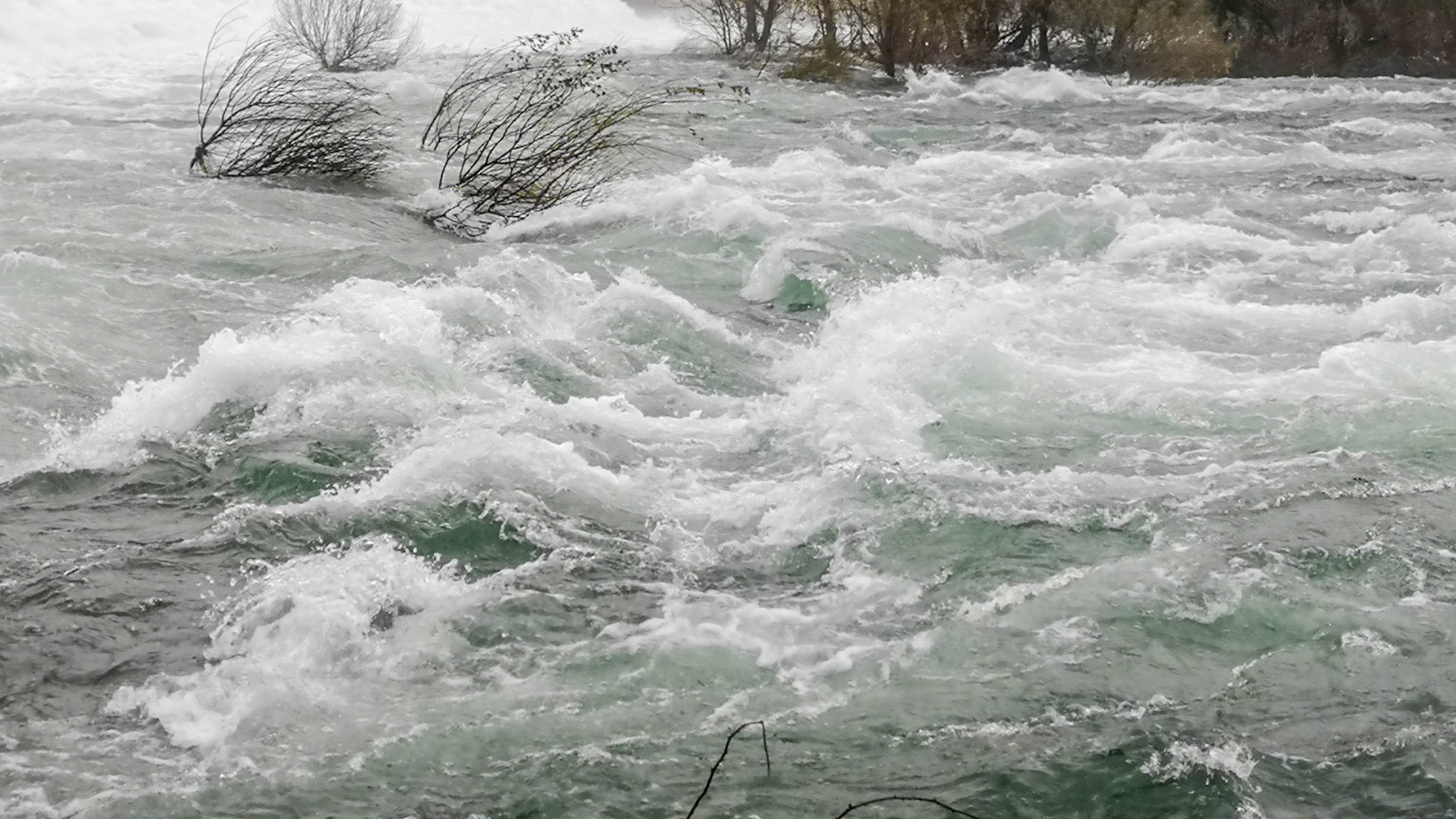 Müllablagerungen erhöhen Hochwasserrisiko in Mainz-Bingen