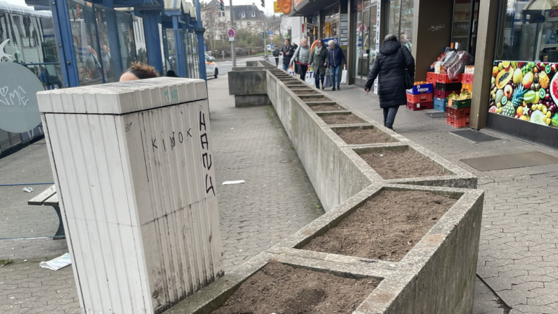 Pflanzaktion bringt neues Grün in Wilhelmstraße