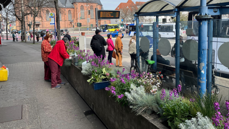 Pflanzaktion in der Wilhelmstraße macht Bad Kreuznach grüner