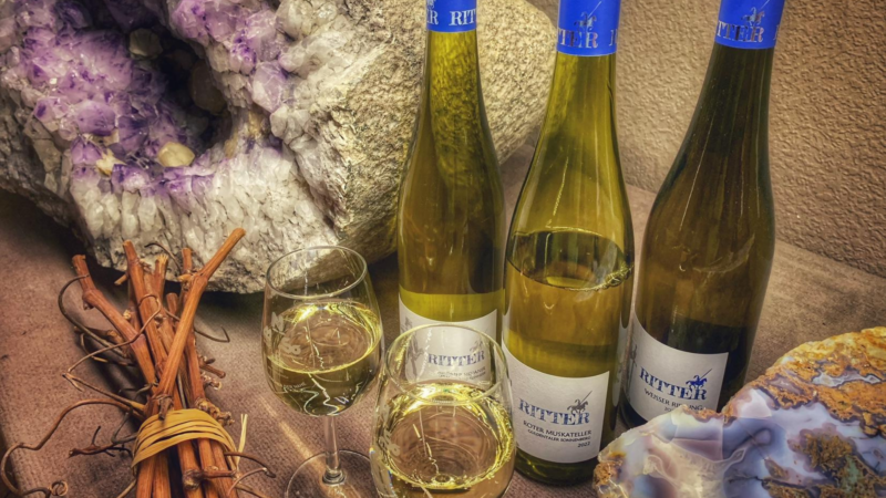 Wein trifft Stein begeistert 2026 erneut