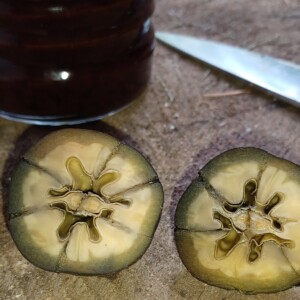 Pfälzer Trüffeln machen