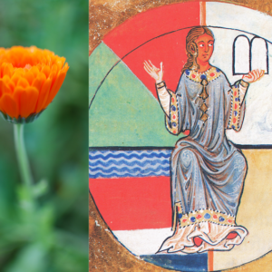 Dialog mit Hildegard