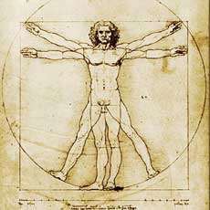 Bad Kreuznacher Gesundheitsforum: Endoprothetik: Gelenkersatz an Knie und Hüfte für mehr Lebensqualität