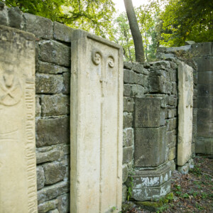 Die Geheimnisse des Disibodenbergs