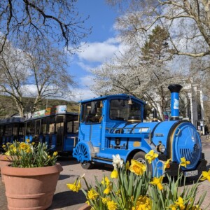 Panoramarundfahrt mit der Kreuznacher Bimmelbahn