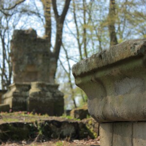 Die Klosteranlage Disibodenberg als Verwirklichung des christlichen Lebens