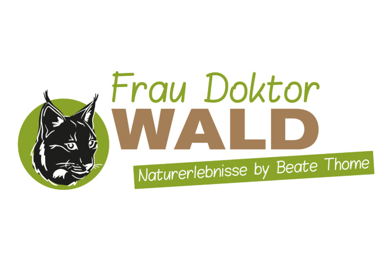 Spirituelle Pilgerwanderung