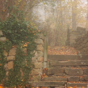 Mächtige Frauen auf dem Disibodenberg