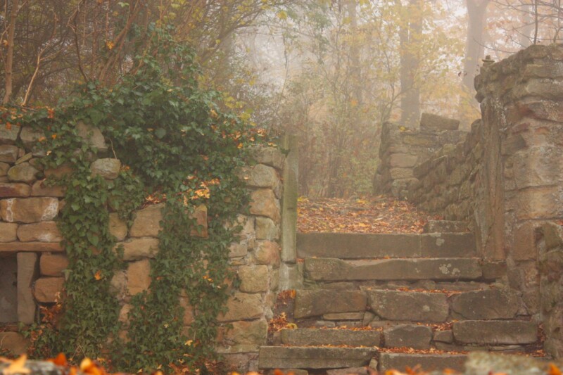 Mächtige Frauen auf dem Disibodenberg
