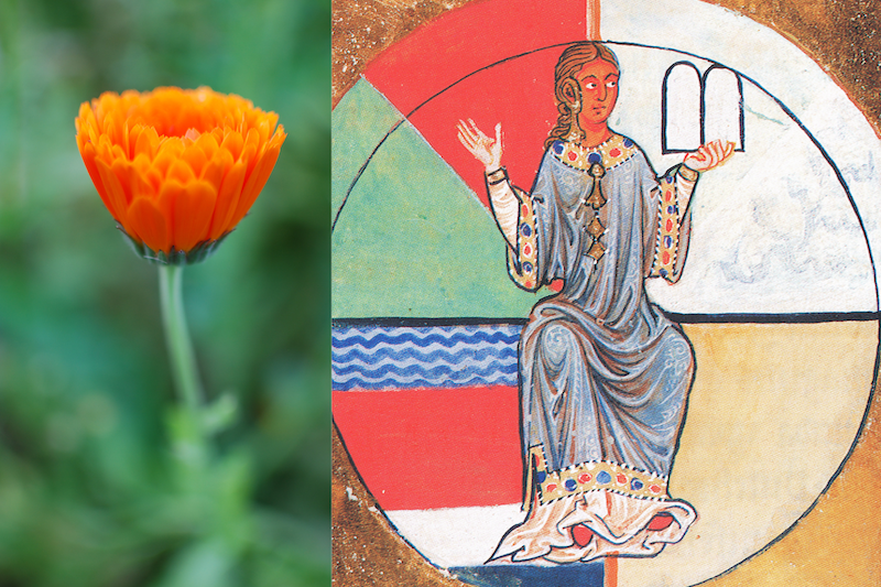 Dialog mit Hildegard