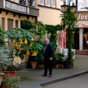 Zwingelbrunnenfest 2026