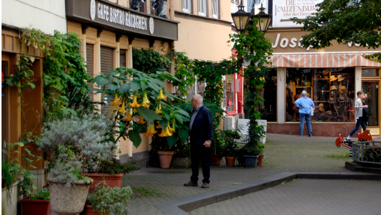 Zwingelbrunnenfest 2026