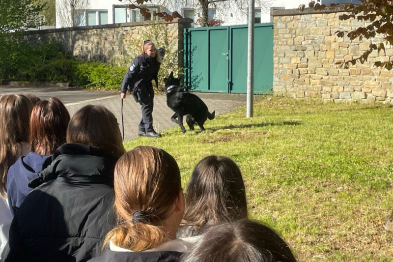 Polizistin mit einem Diensthund bei einer Vorführung vor einer Gruppe von Zuschauern im Freien.