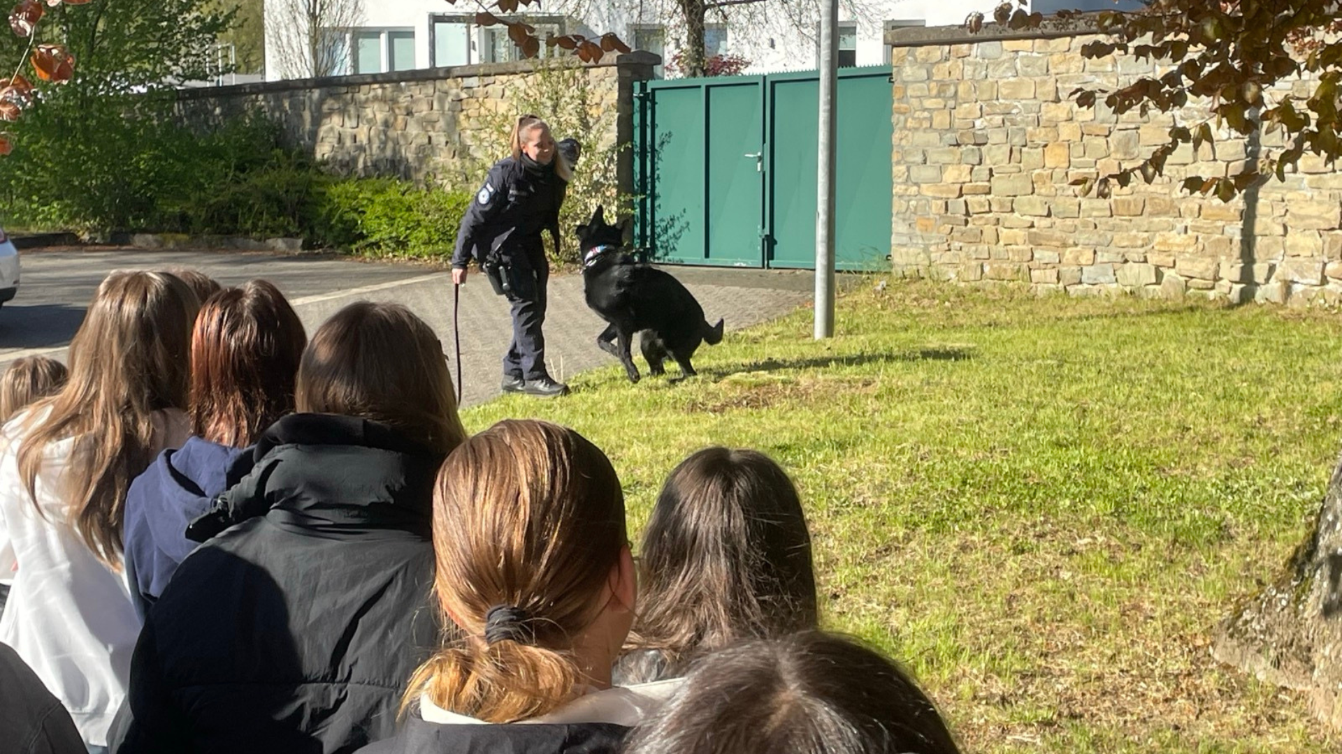 Polizistin mit einem Diensthund bei einer Vorführung vor einer Gruppe von Zuschauern im Freien.
