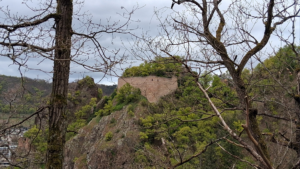Neue Wege am Rheingrafenstein
