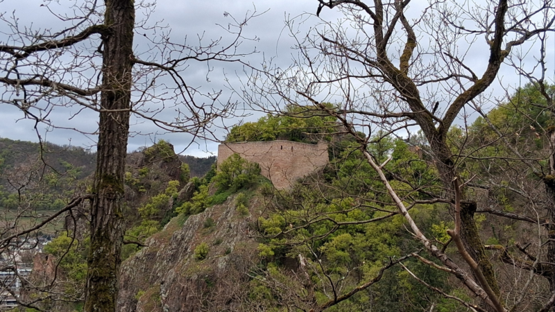 Neue Wege am Rheingrafenstein