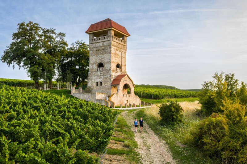 Ein historischer Aussichtsturm umgeben von Weinbergen und Bäumen unter einem klaren Himmel.
