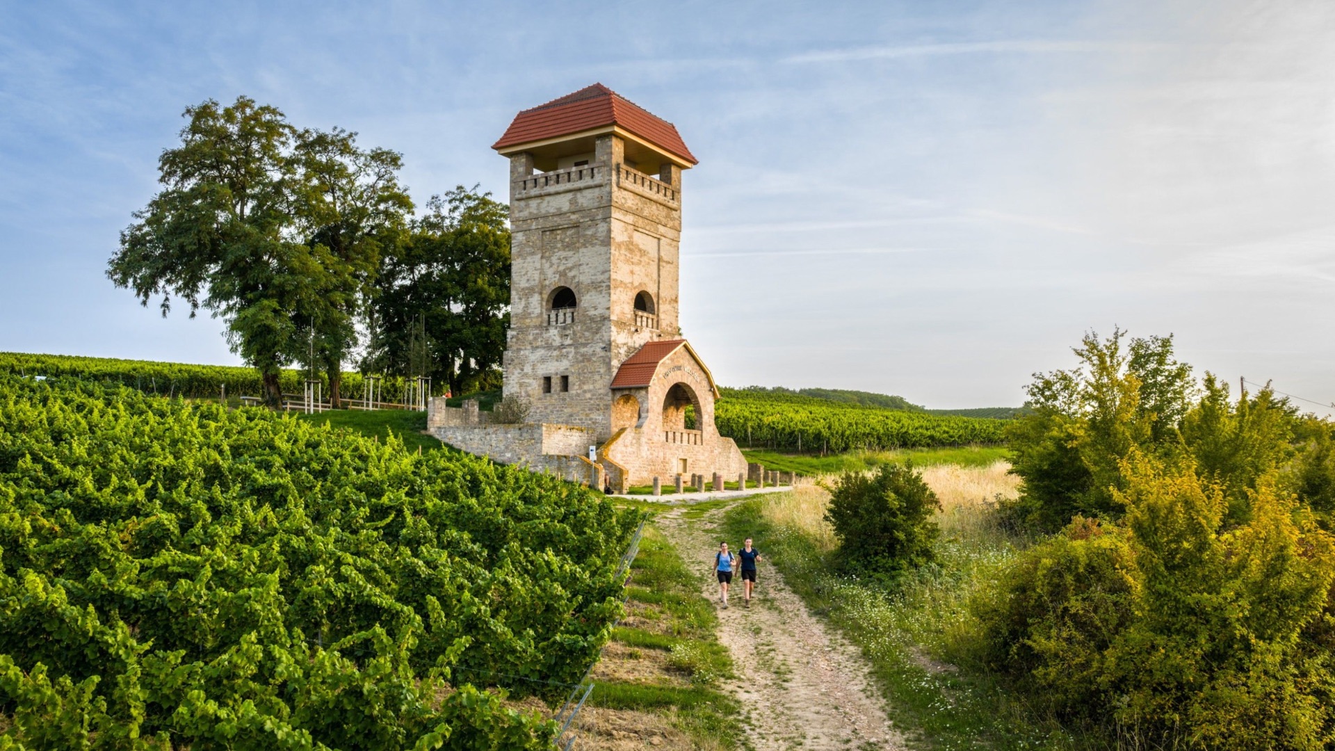 Ein historischer Aussichtsturm umgeben von Weinbergen und Bäumen unter einem klaren Himmel.