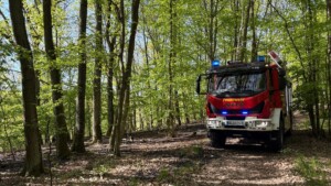 Vegetationsbrand bei Becherbach – Ausbreitung verhindert