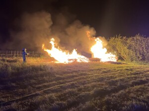Feuer in Weinbergen bei Bretzenheim