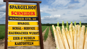 Spargelhof Schneider: Frischer Spargel aus der Region