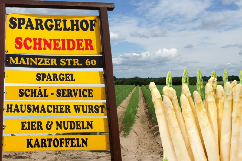 Spargelhof Schneider: Frischer Spargel aus der Region