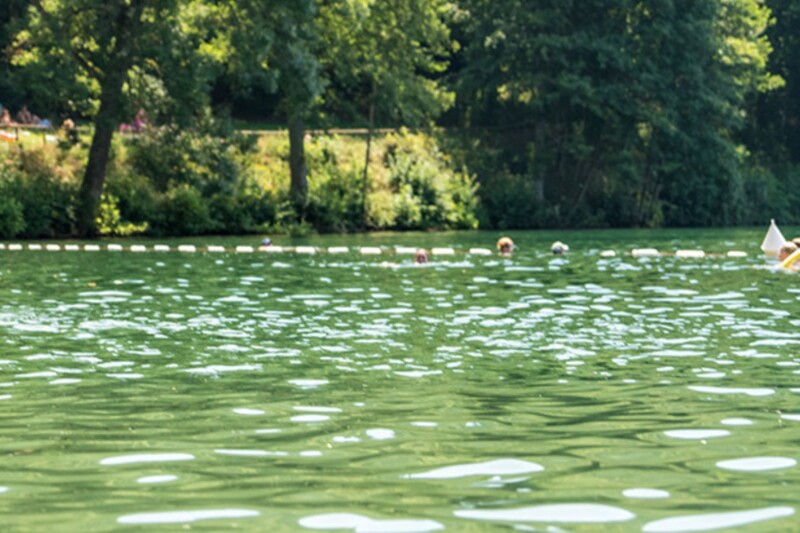 Rheinland-Pfalz: Fast alle Badeseen mit Bestnote