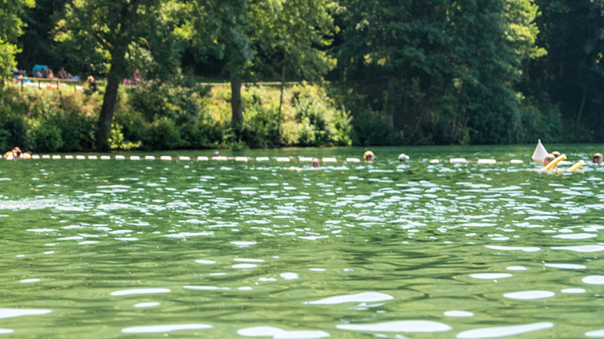 Pünktlich zur Badesaison erhalten die meisten Badeseen in Rheinland-Pfalz Bestnoten