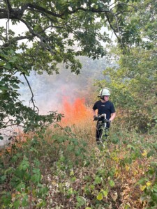 Waldbrand bei Traisen: Großeinsatz der Feuerwehr