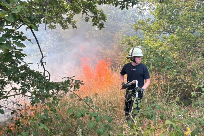 Waldbrand bei Traisen: Großeinsatz der Feuerwehr