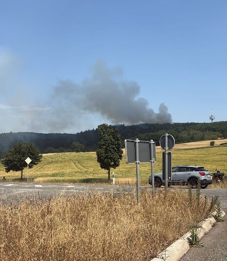 Waldbrand bei Traisen: Kampfmittel erschweren Löscharbeiten
