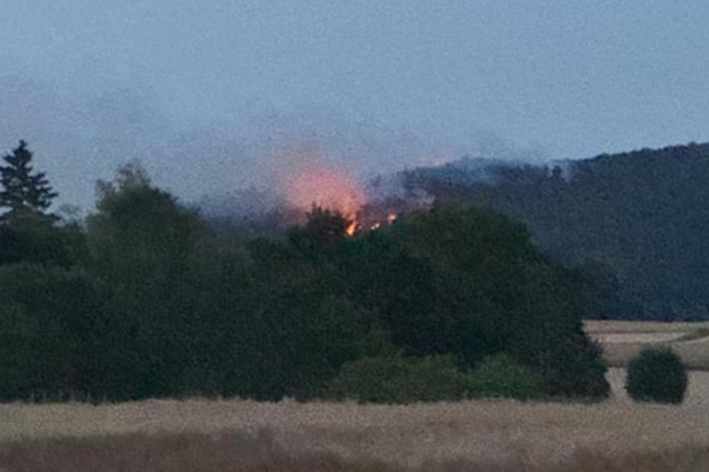 Waldbrand bei Traisen unter Kontrolle – Roboter im Einsatz