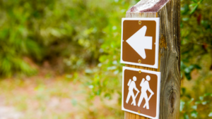 Wanderwege in Rehborn werden aufgewertet