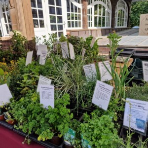 Heimische Zaubergärten – 25. Ökologische Messe für Garten- und Balkonbesitzende