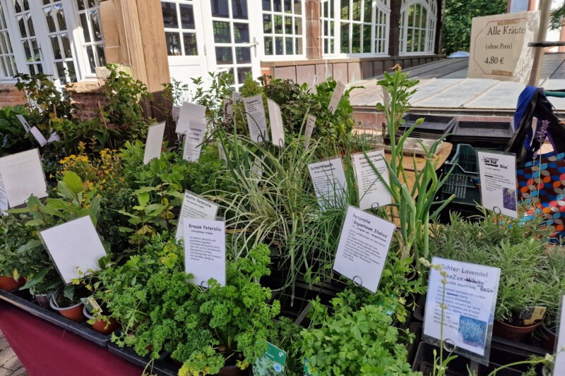 Heimische Zaubergärten – 25. Ökologische Messe für Garten- und Balkonbesitzende