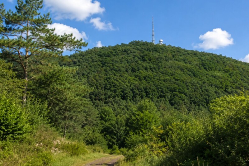 Bad Kreuznach sperrt Zufahrten am Kuhberg