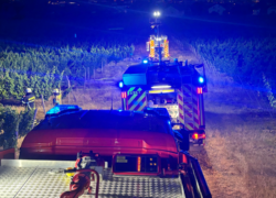 Feuer in den Bad Kreuznacher Weinbergen