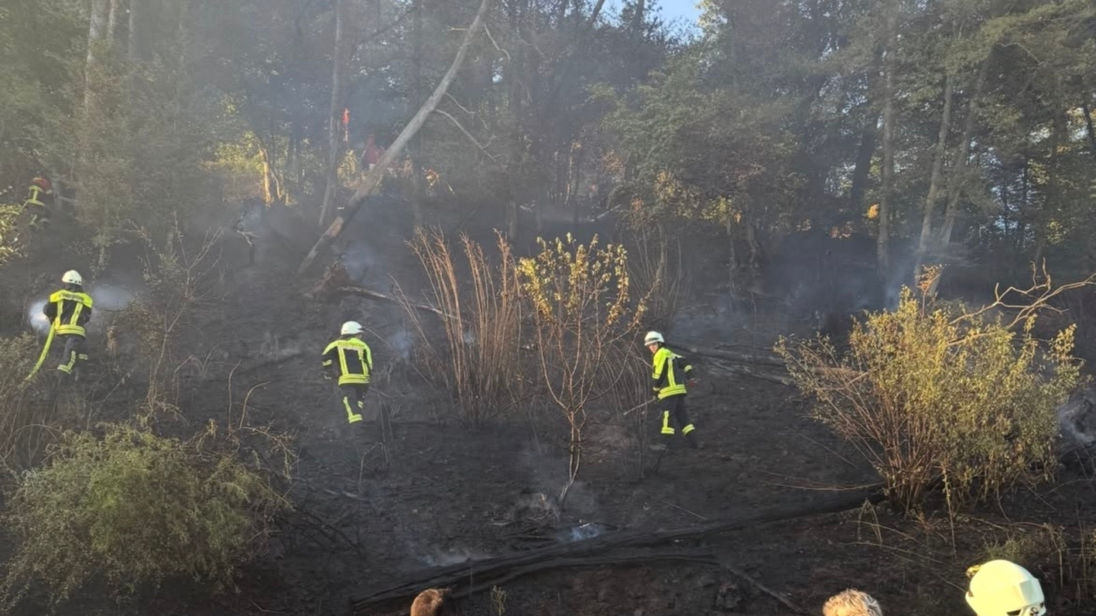 Feuerwehr kämpft gegen Flammen bei Berglangenbach