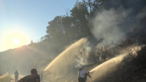 Feuerwehr kämpft gegen Flammen bei Berglangenbach