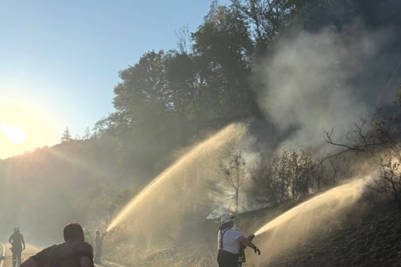 Feuerwehr kämpft gegen Flammen bei Berglangenbach