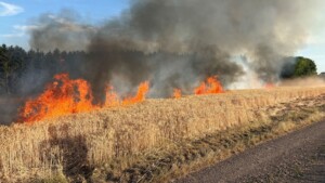 Feuerwehren der VG Nahe-Glan im Einsatz